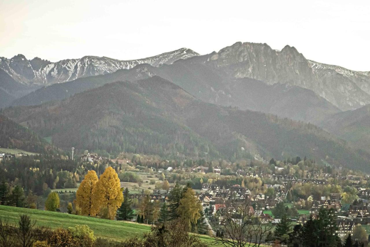 Willa Grg Zakopane Extérieur photo